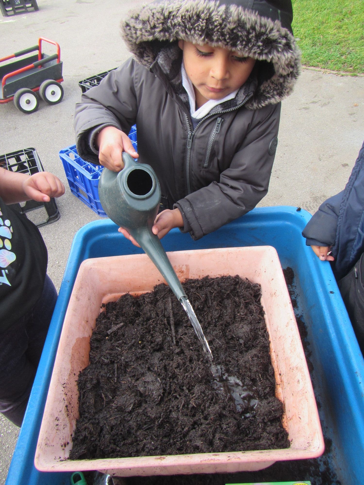 Gardening